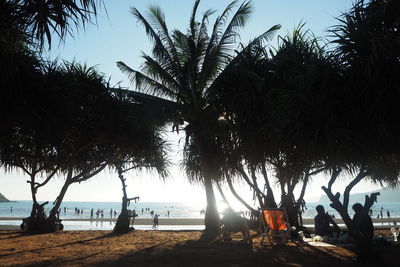 People by palm trees on beach against sky