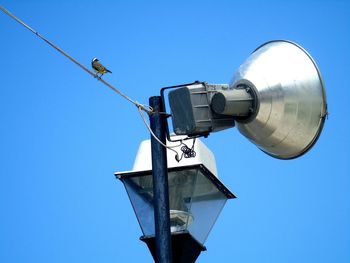 Low angle view of bird perching against clear sky