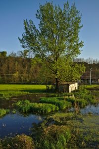 Scenic view of grassy field against cloudy sky