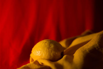 Close-up of fruit against red background