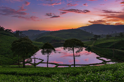 Scenic view of field against sky during sunset