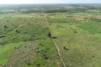 High angle view of green landscape