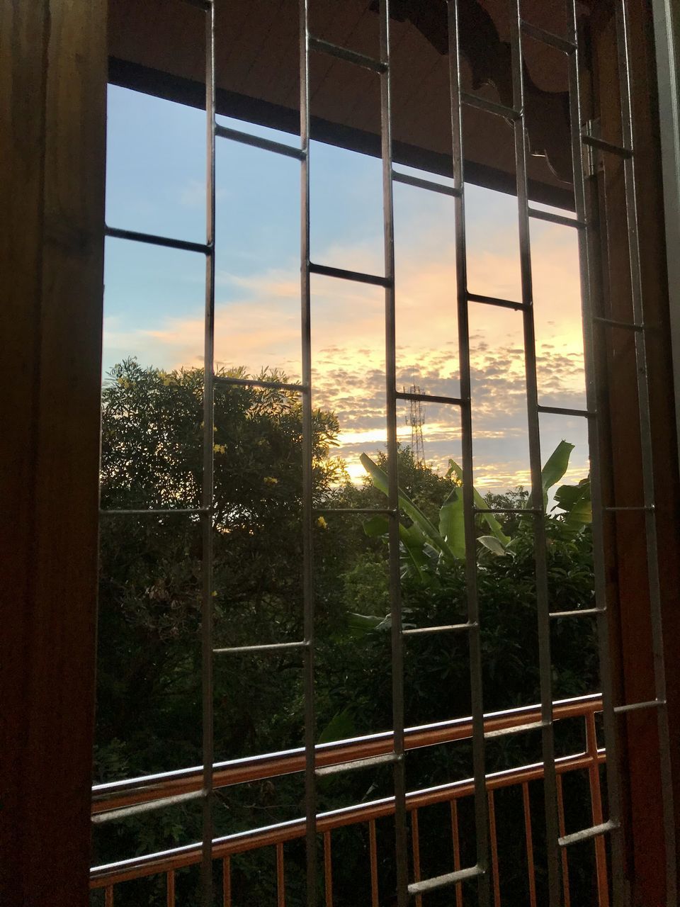 TREES AND BUILDINGS SEEN THROUGH WINDOW