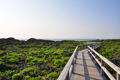 Scenic view of landscape against clear sky