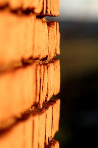 Close-up of log stack