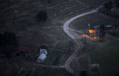 High angle view of vehicles on road along trees