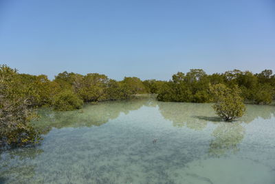 Scenic view of lake against clear blue sky