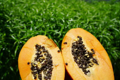 Close-up of orange slice