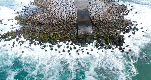 High angle view of starfish on rock in sea