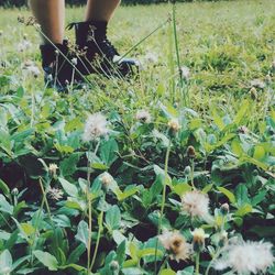 Woman holding plant in garden