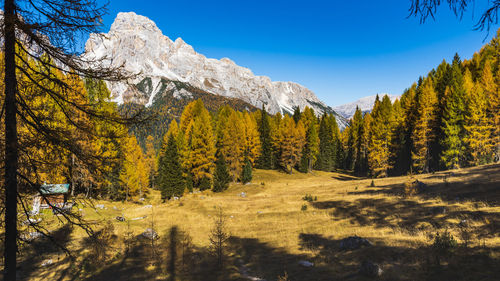 Scenic view of landscape against sky during winter