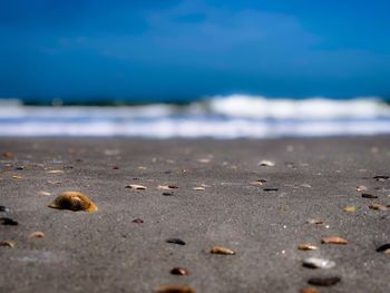 Surface level of beach against sky