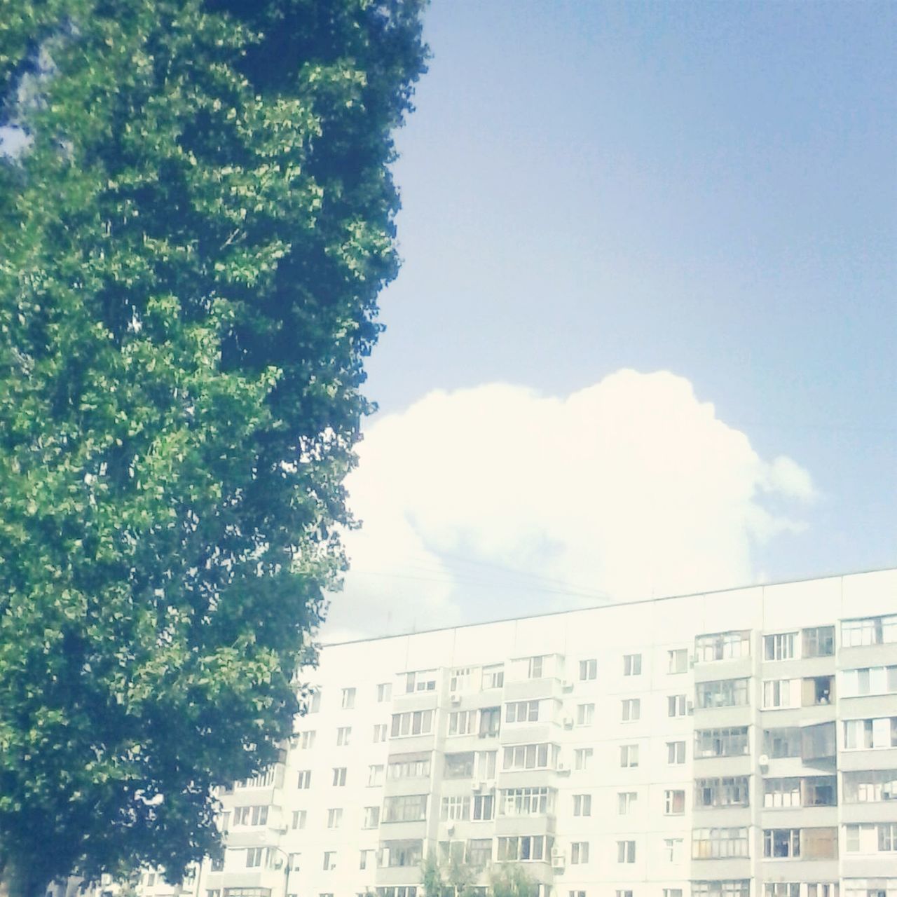 building exterior, architecture, built structure, low angle view, sky, residential building, tree, residential structure, city, building, window, house, day, outdoors, apartment, no people, residential district, growth, cloud, cloud - sky