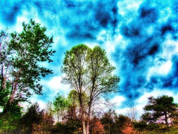 Low angle view of trees against cloudy sky