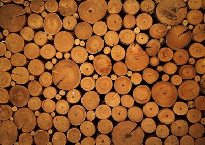 Full frame shot of logs