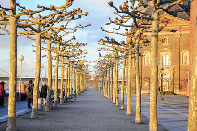 Footpath amidst buildings in city