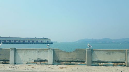 Scenic view of beach against clear blue sky