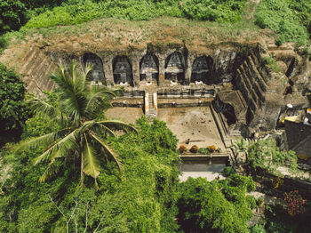 High angle view of plants among ruins 