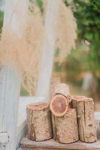 Close-up of stack of logs