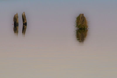 Reflection of trees on lake against sky