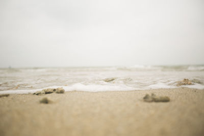 Surface level of beach against sky