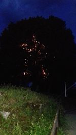 Illuminated trees on field against sky at night