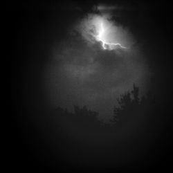 Low angle view of trees against sky at night