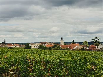 Landscape against sky