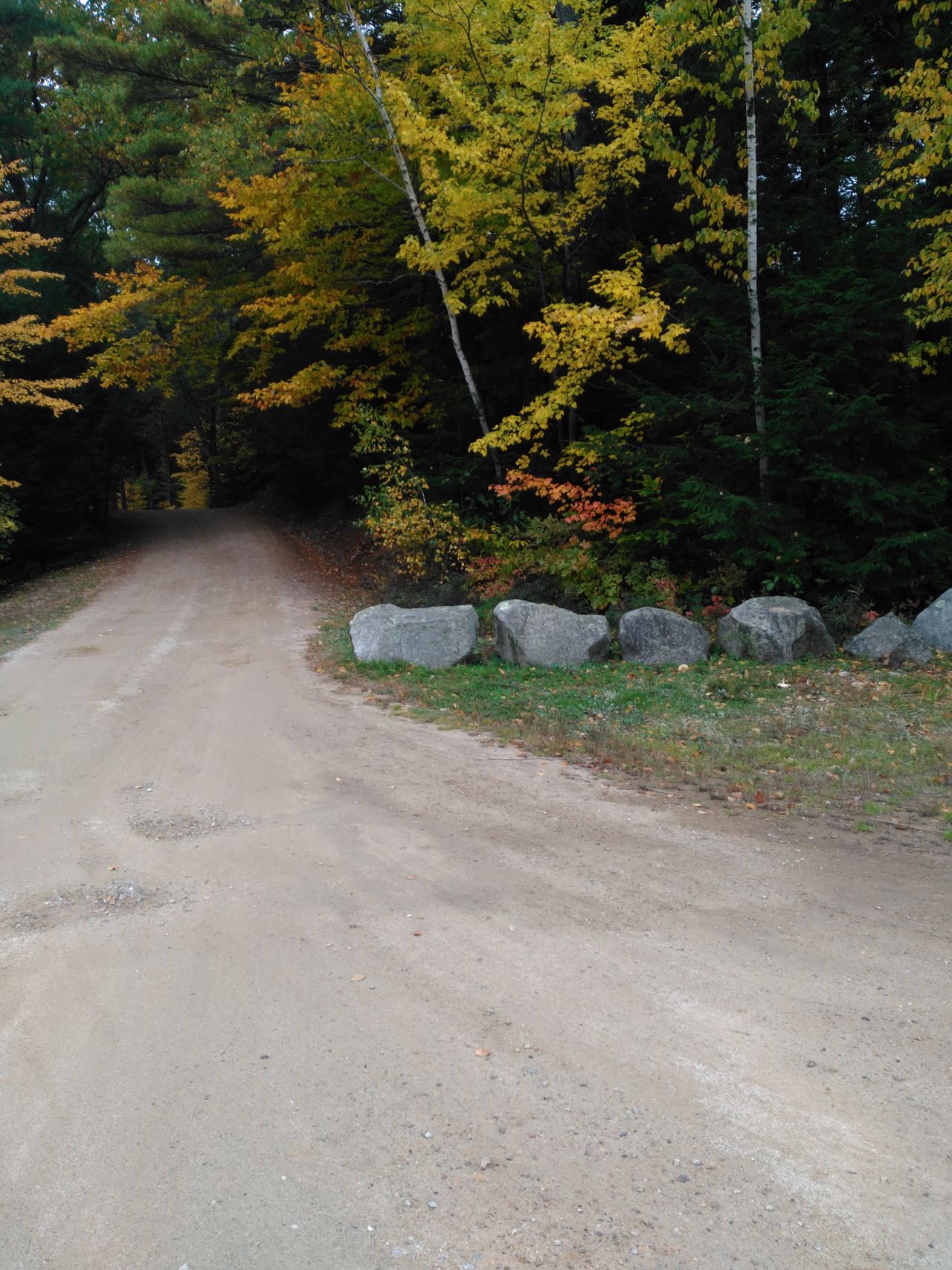 NH state park