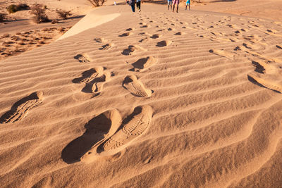 Footsteps on the sand at north horr sand dunes in marsabit county, kenya