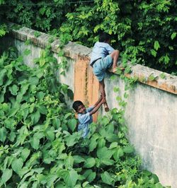 Rear view of people in forest