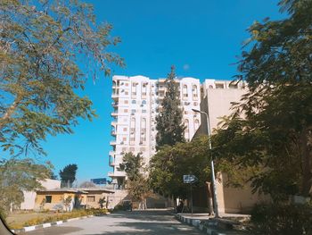 Trees and buildings against clear blue sky