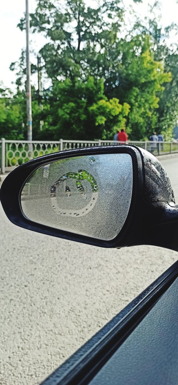 transportation, tree, plant, mode of transportation, motor vehicle, car, mirror, day, land vehicle, rear-view mirror, nature, vehicle, automotive exterior, road, outdoors, driving, reflection, glass, window, street, side-view mirror, city, wheel