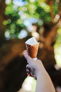 Close-up of hand holding ice cream