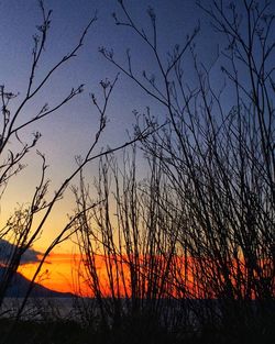 Silhouette bare trees on landscape against sky at sunset