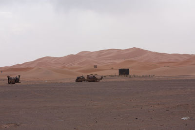 Scenic view of desert against sky