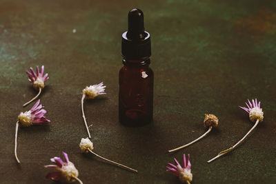 Abstract cosmetic laboratory. bottles of dark amber glass on a green podium background. 