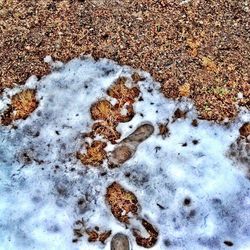 Snow covered landscape