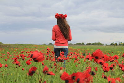 Rear view of woman walking amidst red flowers blooming on field