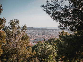 High angle view of trees and buildings against sky