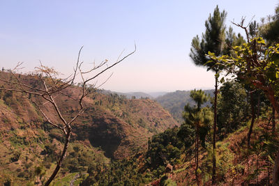 Scenic view of mountains against clear sky