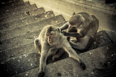 High angle view of two sitting outdoors