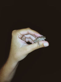 Close-up of cropped hand over black background