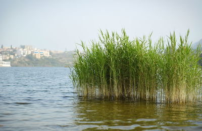 Scenic view of river against sky