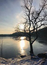 Bare tree by lake against sky during sunset