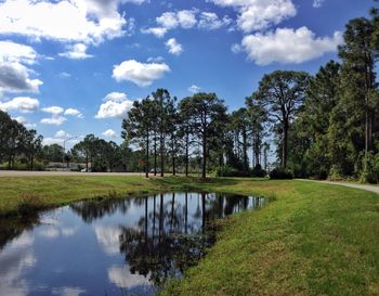 Reflection of trees in lake