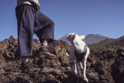 Small adventure dog looks back at hiker mum in mountains in spain