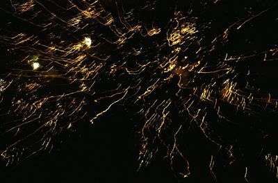 Firework display at night