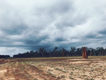 Scenic view of field against sky