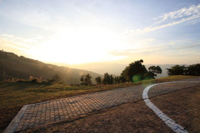 Trees against sky during sunset